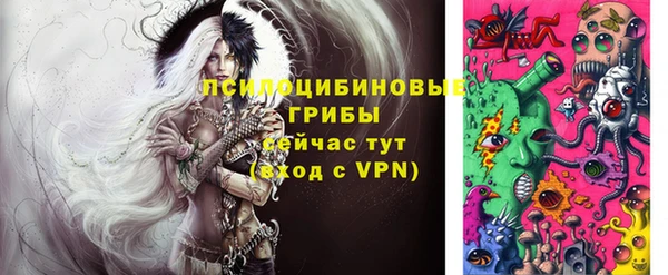 МДПВ Зеленокумск