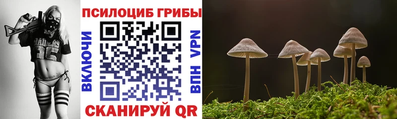 закладка  Тогучин  Псилоцибиновые грибы Magic Shrooms 